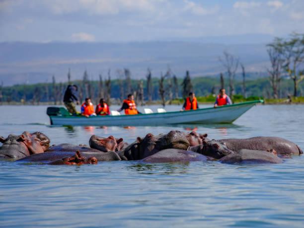Kenya Wildlife Safari